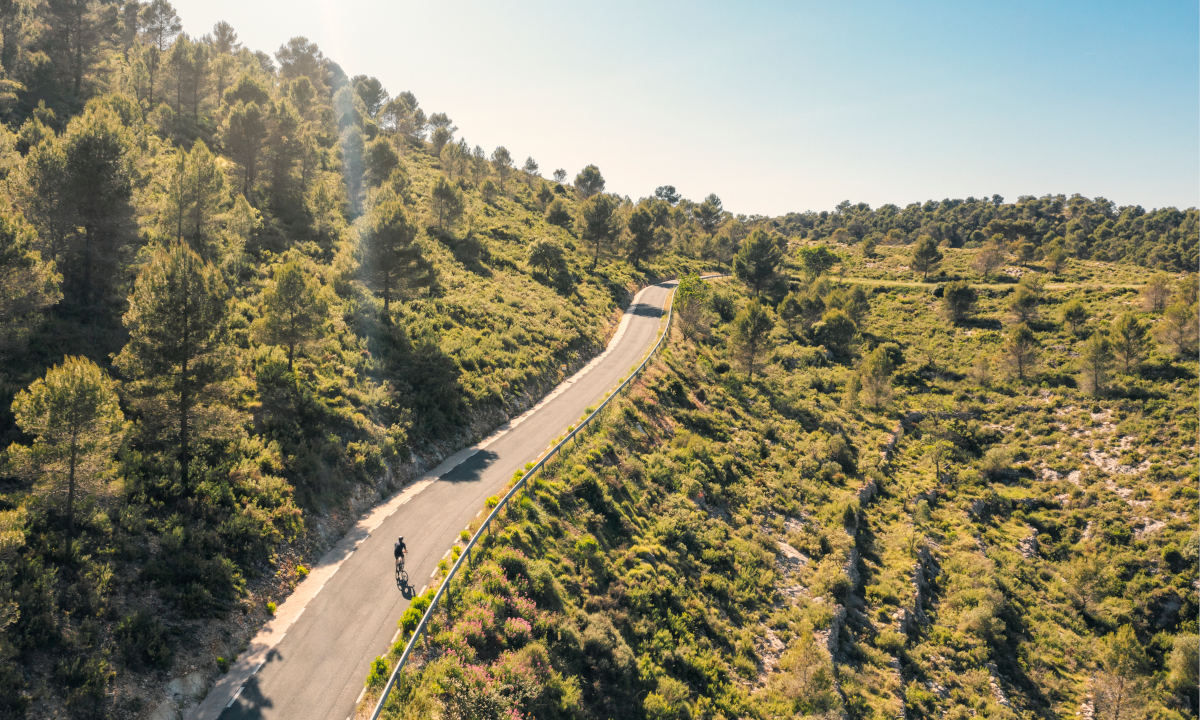 Cycling Sicily forest