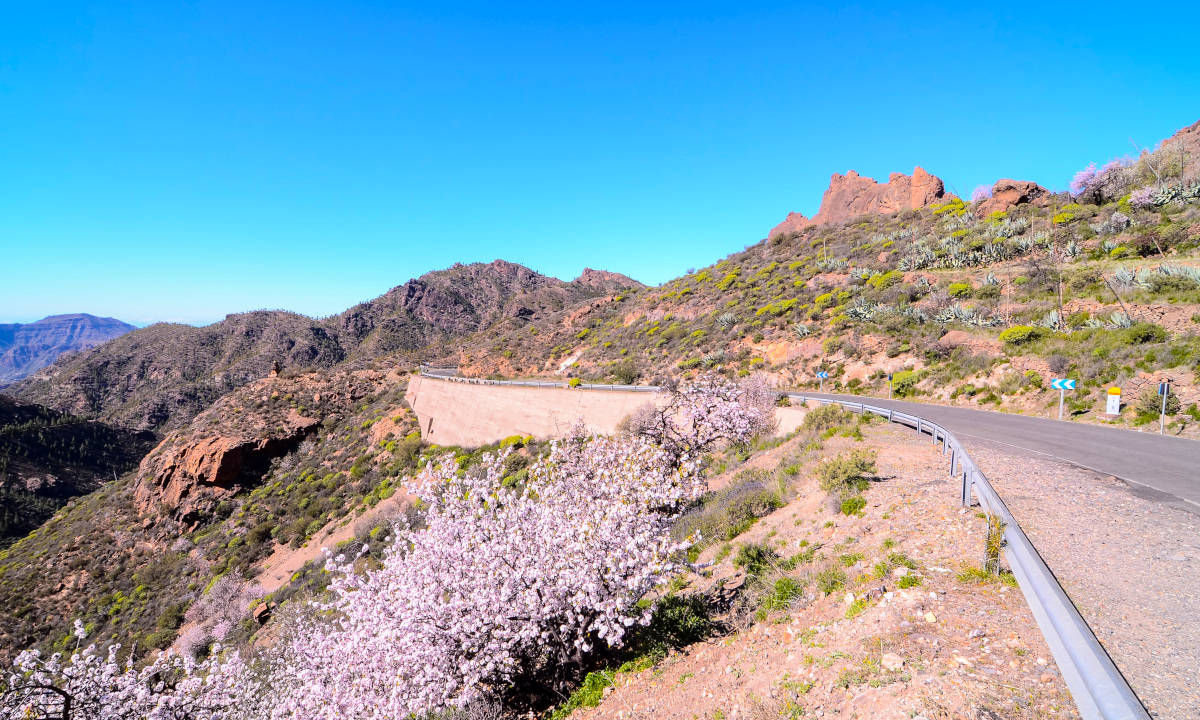 Road cycling on the Canary Islands