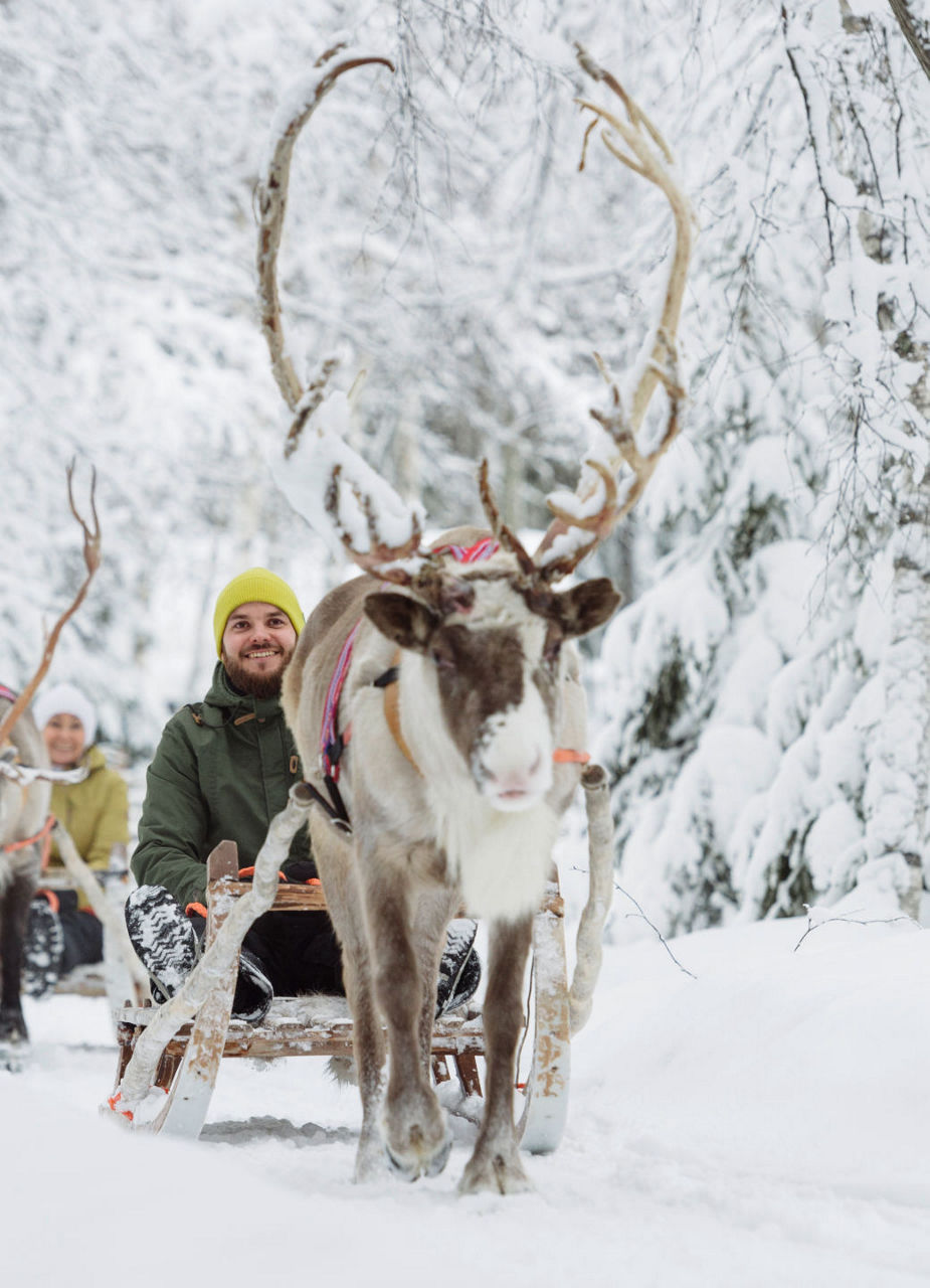 Reindeer slide