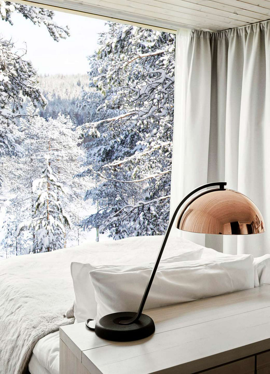 View from Bed, Arctic TreeHouse Hotel