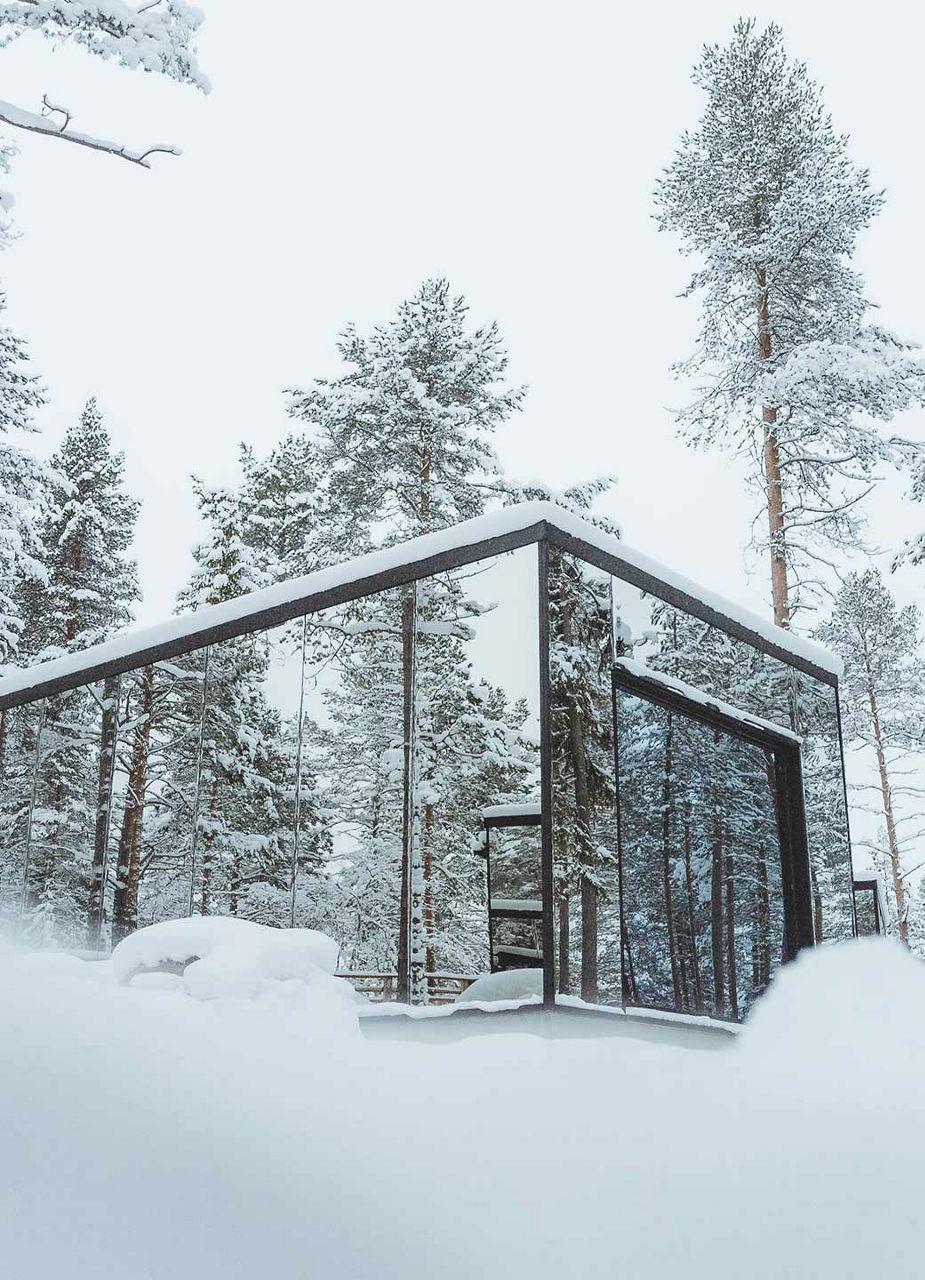 Invisible Forest Lodge