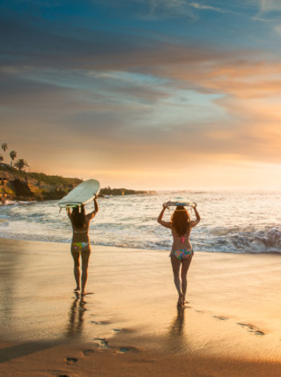 Surfer 