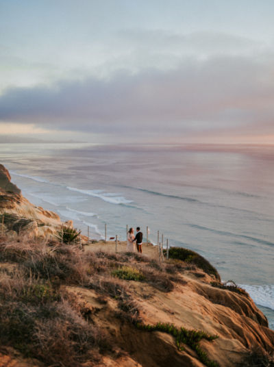 Cliff Torrey Pines State Reserve
