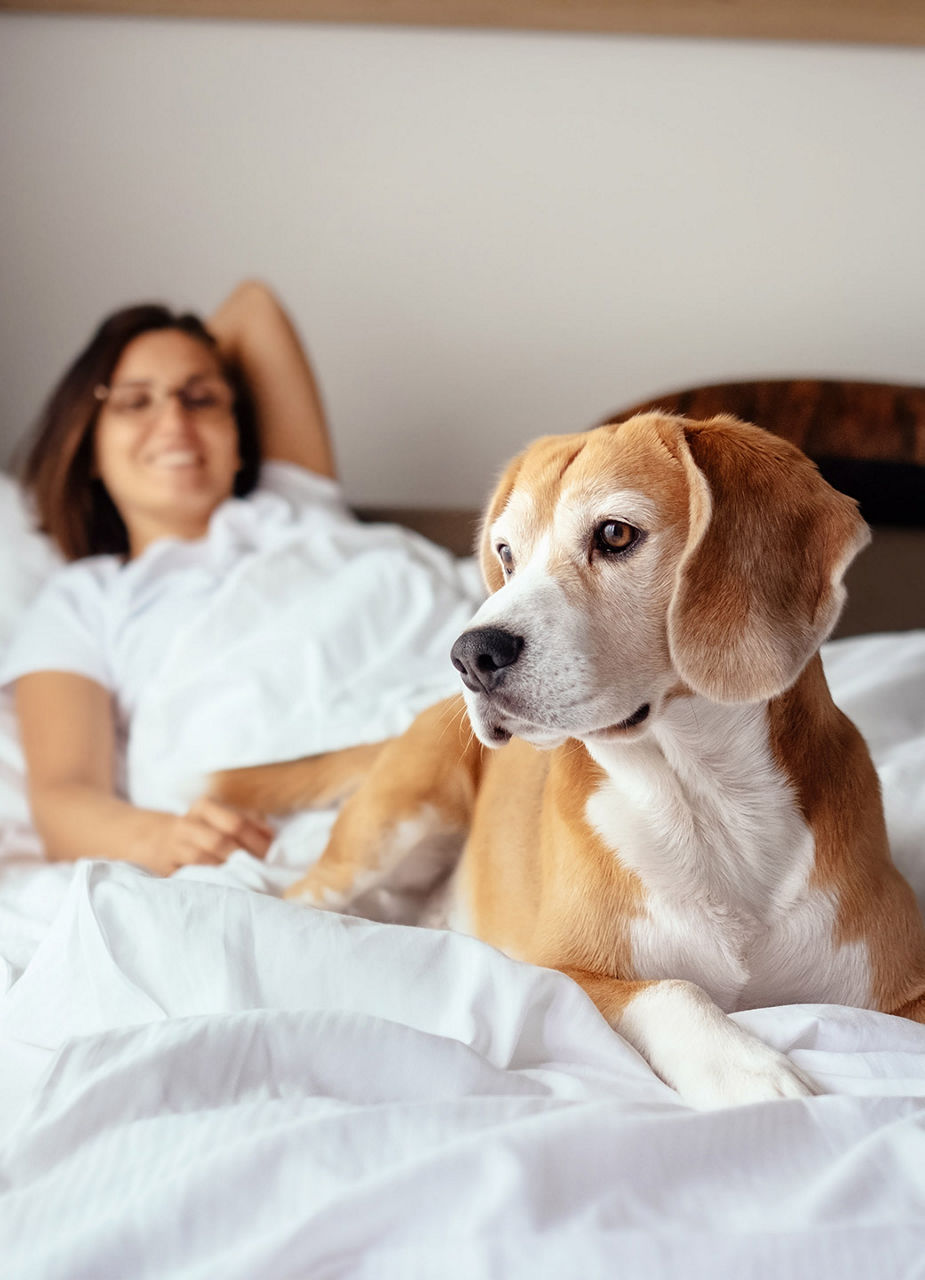 Frau mit Hund im Hotelzimmer​