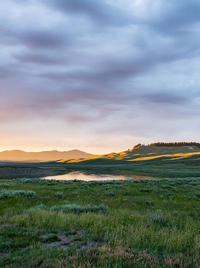 Hayden Valley Overlook​