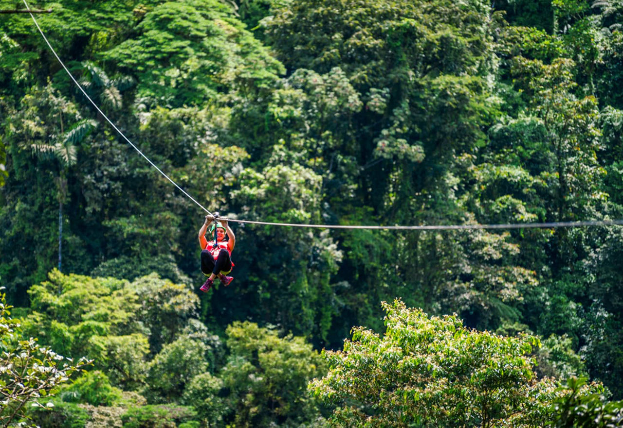 Ziplining through the jungle