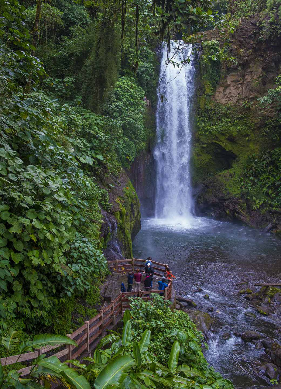 La Paz Waterfall Garden