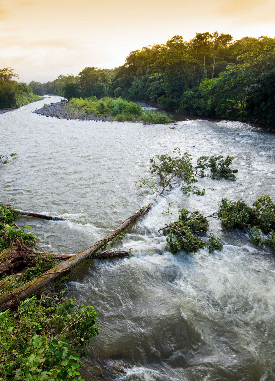 Rio Sarapiquí