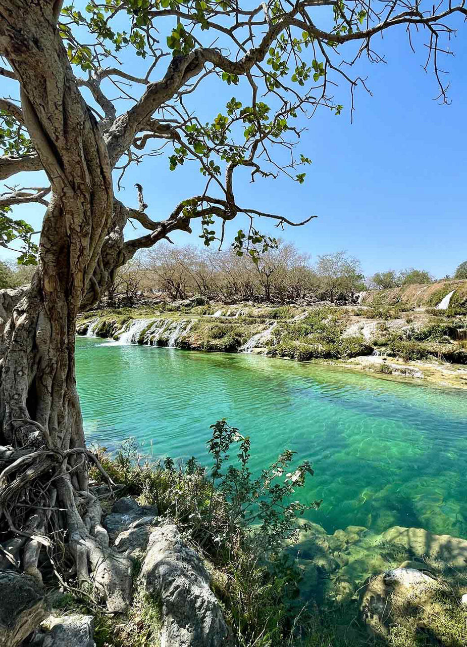 Wadi Darbat