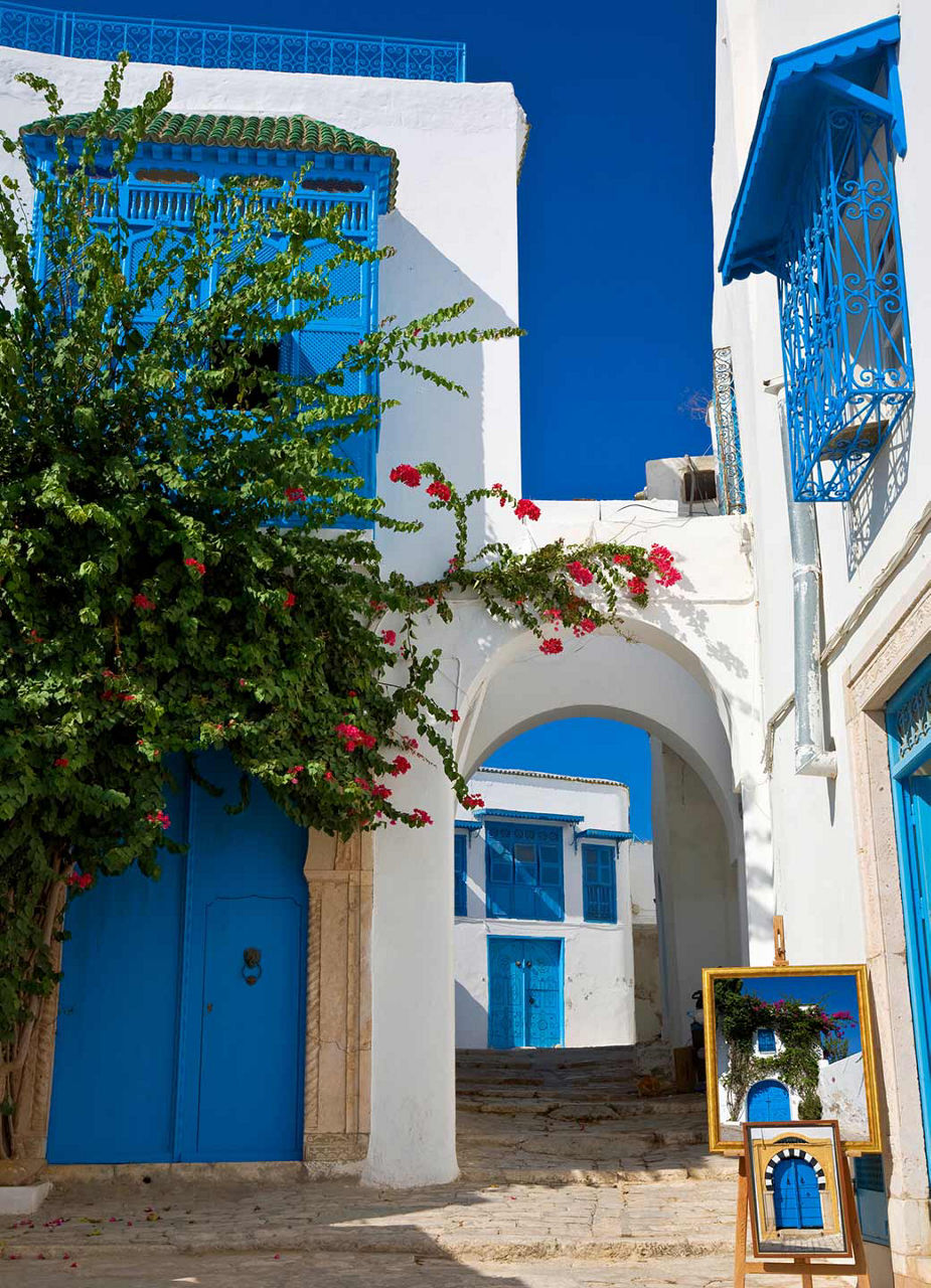 Sidi Bou Saïd kleine Gasse