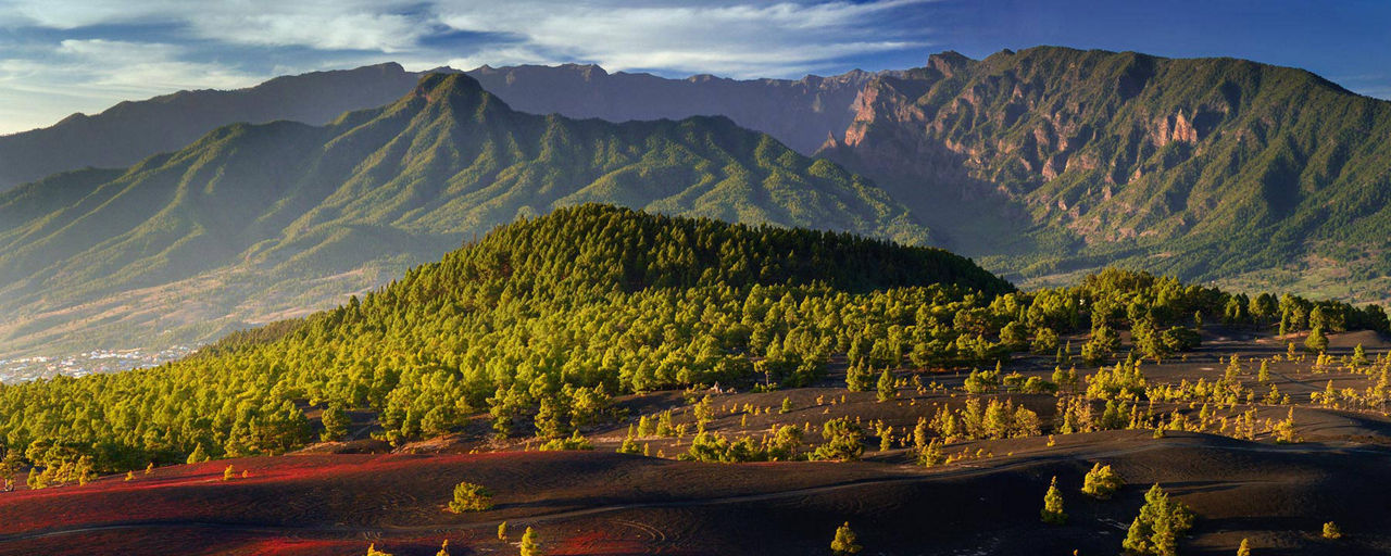 La Palma