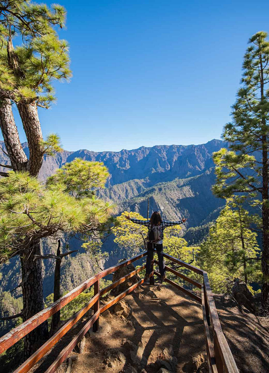 Hike with a view