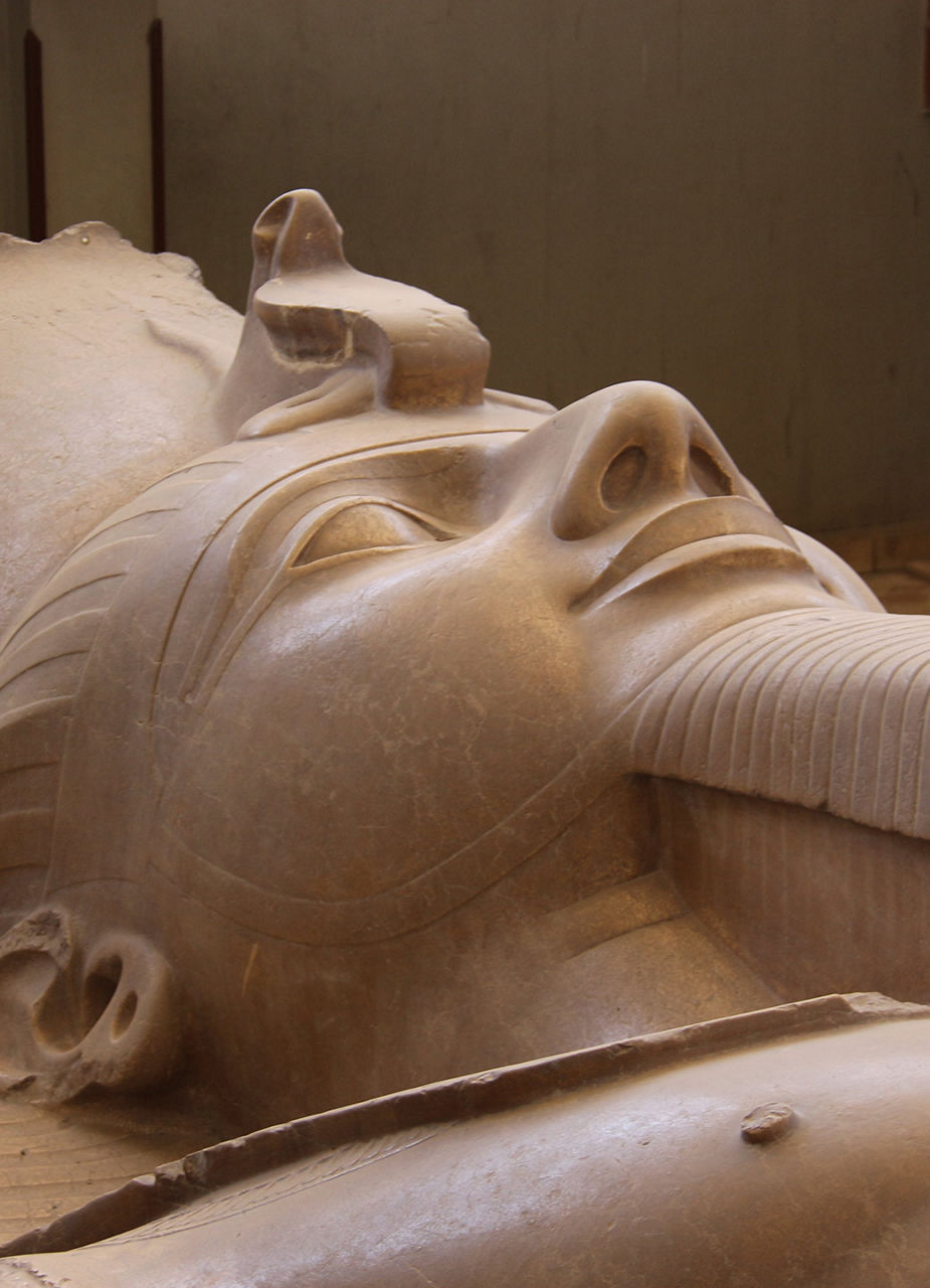 Kopf der Kolossalstatue von Ramses II.