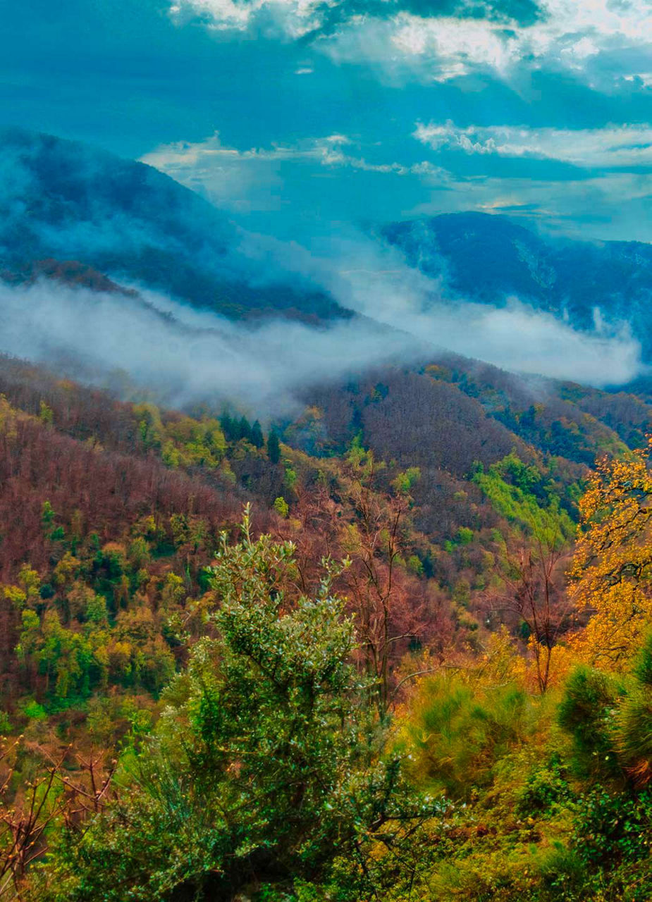 Aspromonte National Park