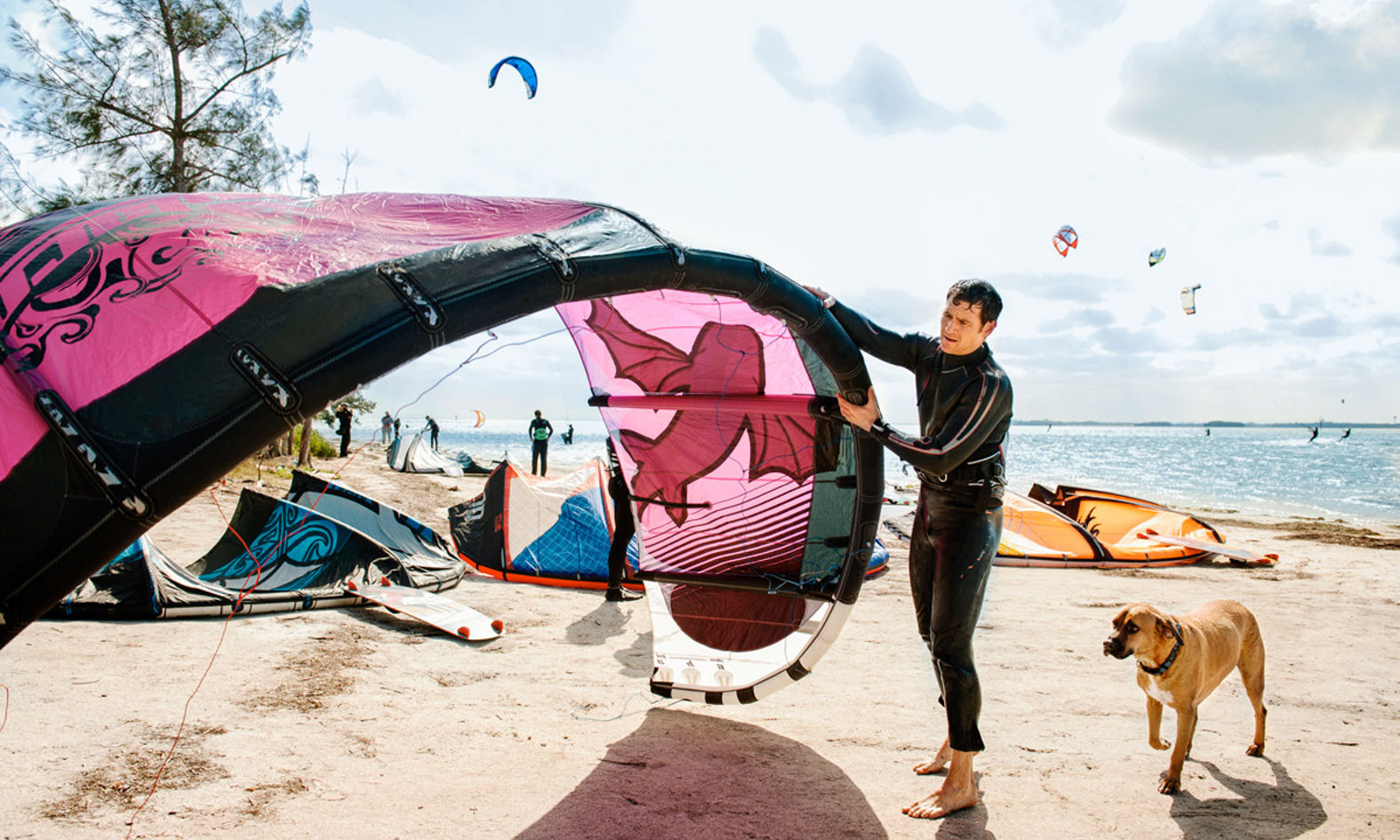 Tampa bay surfing new arrivals