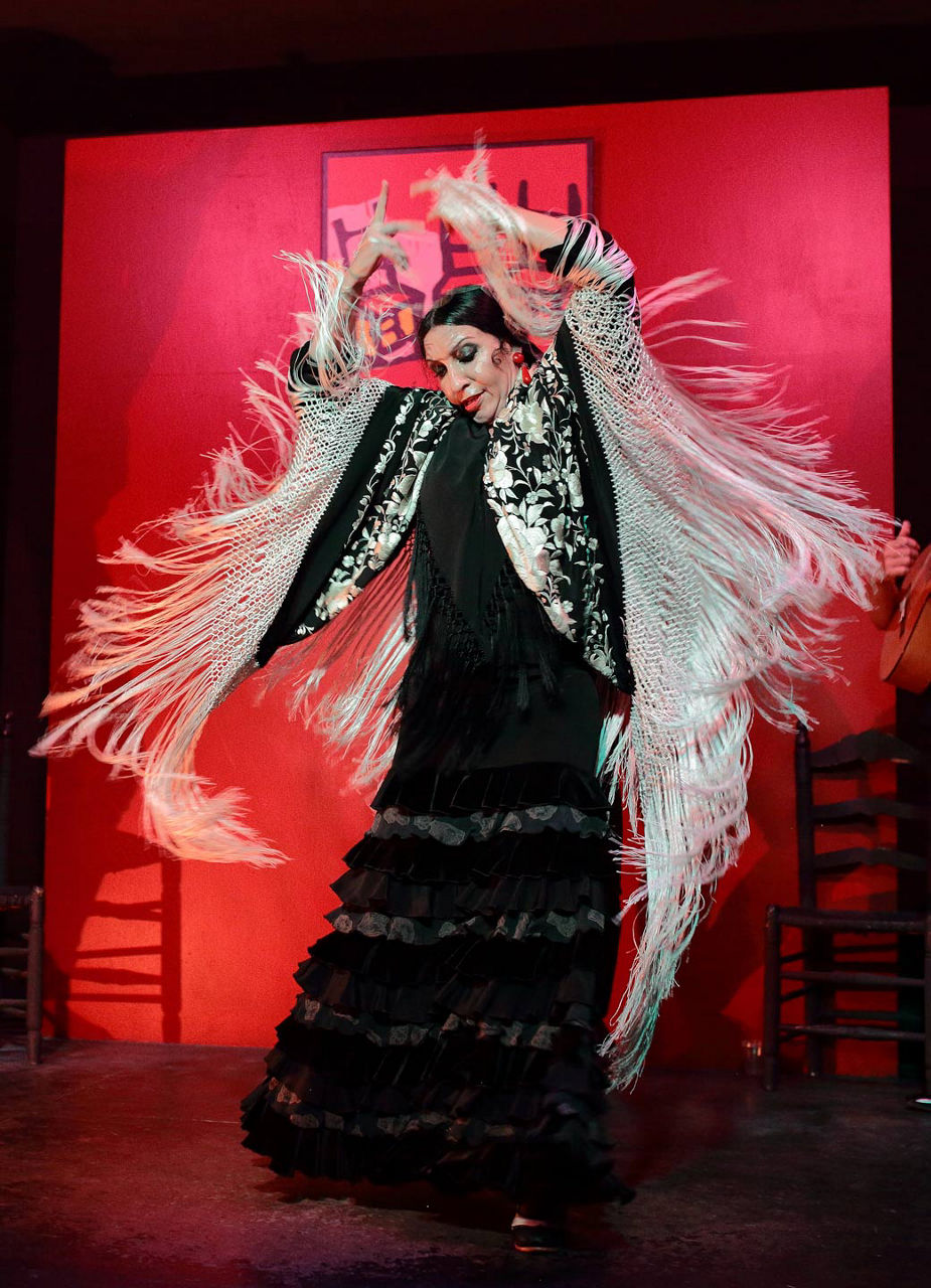 Flamenco Dancer