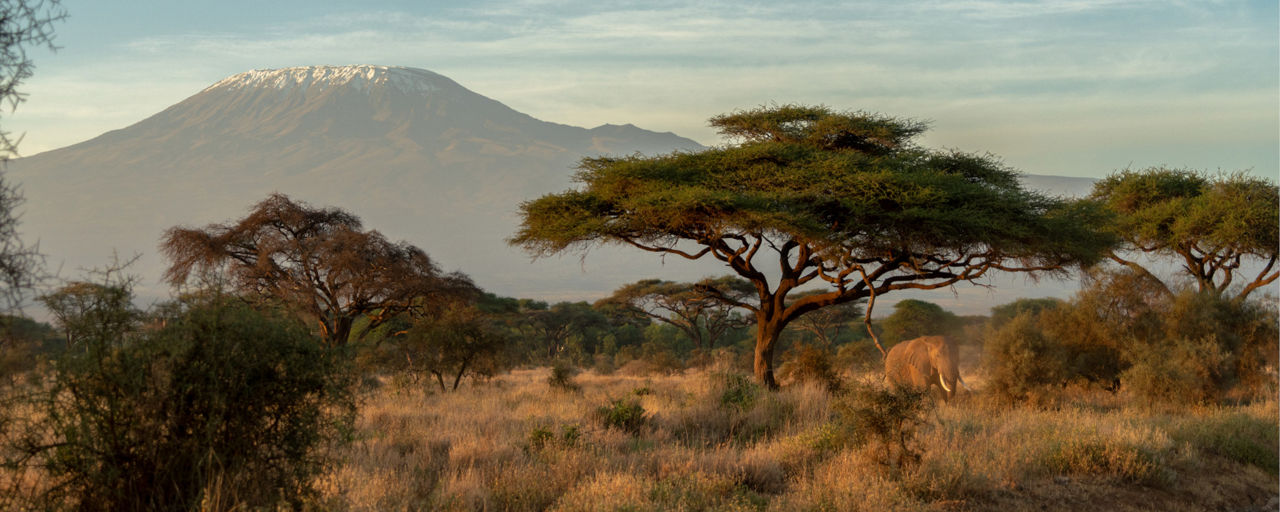 Kilimandjaro