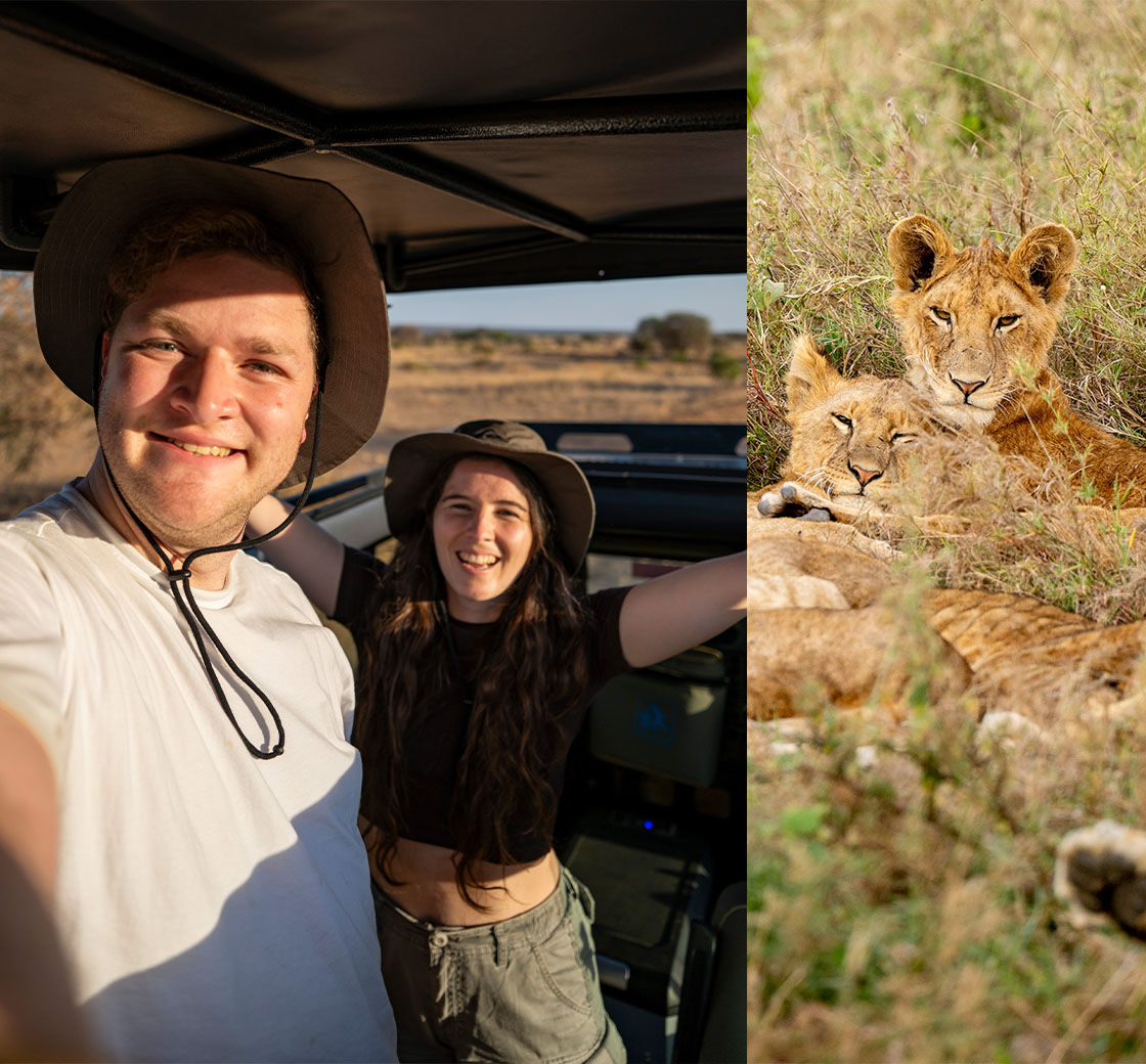 Tanzania Löwen