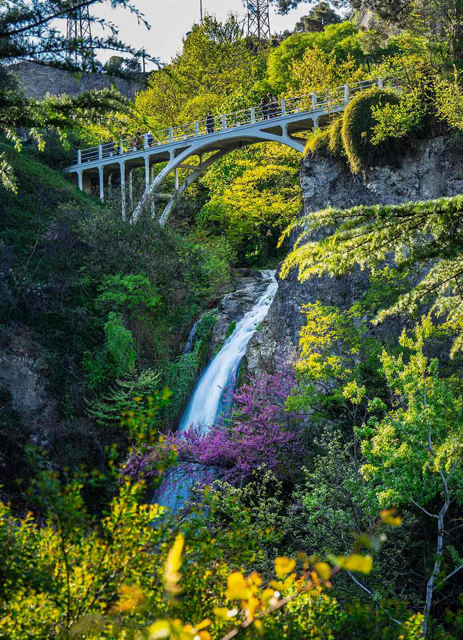 Waterfall and bridge in the Botanical Garden