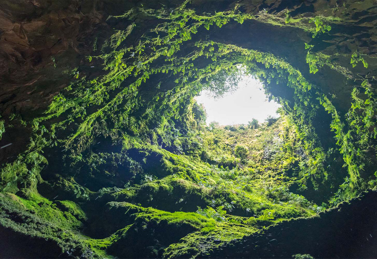 Höhle Algar do Carvão