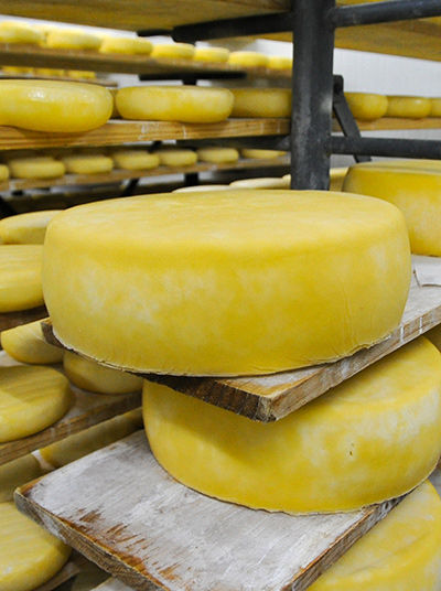 Island cheese