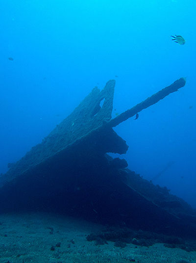 Lidador, Schiffswrack​
