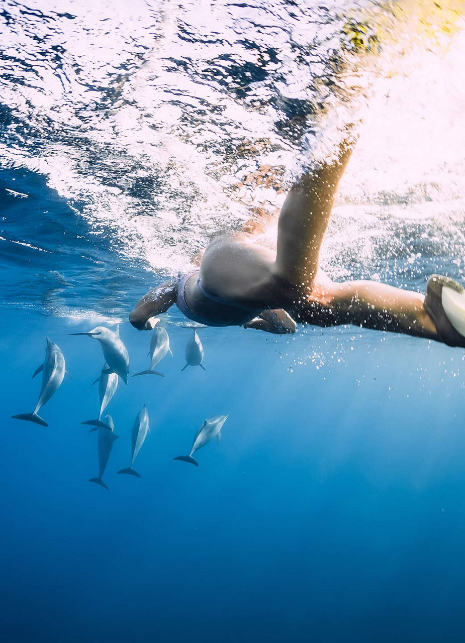 Schwimmen mit Depfinen​