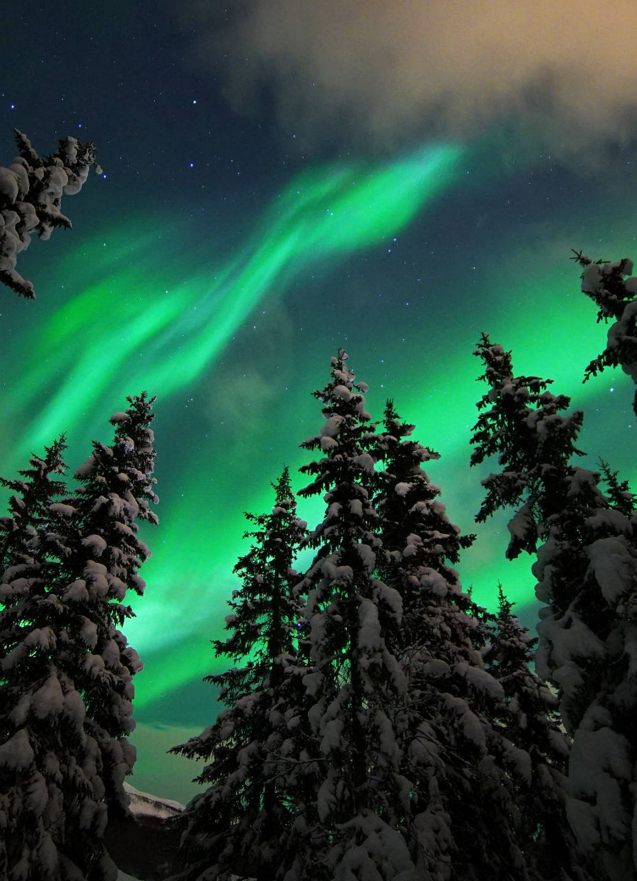 Northern Lights 