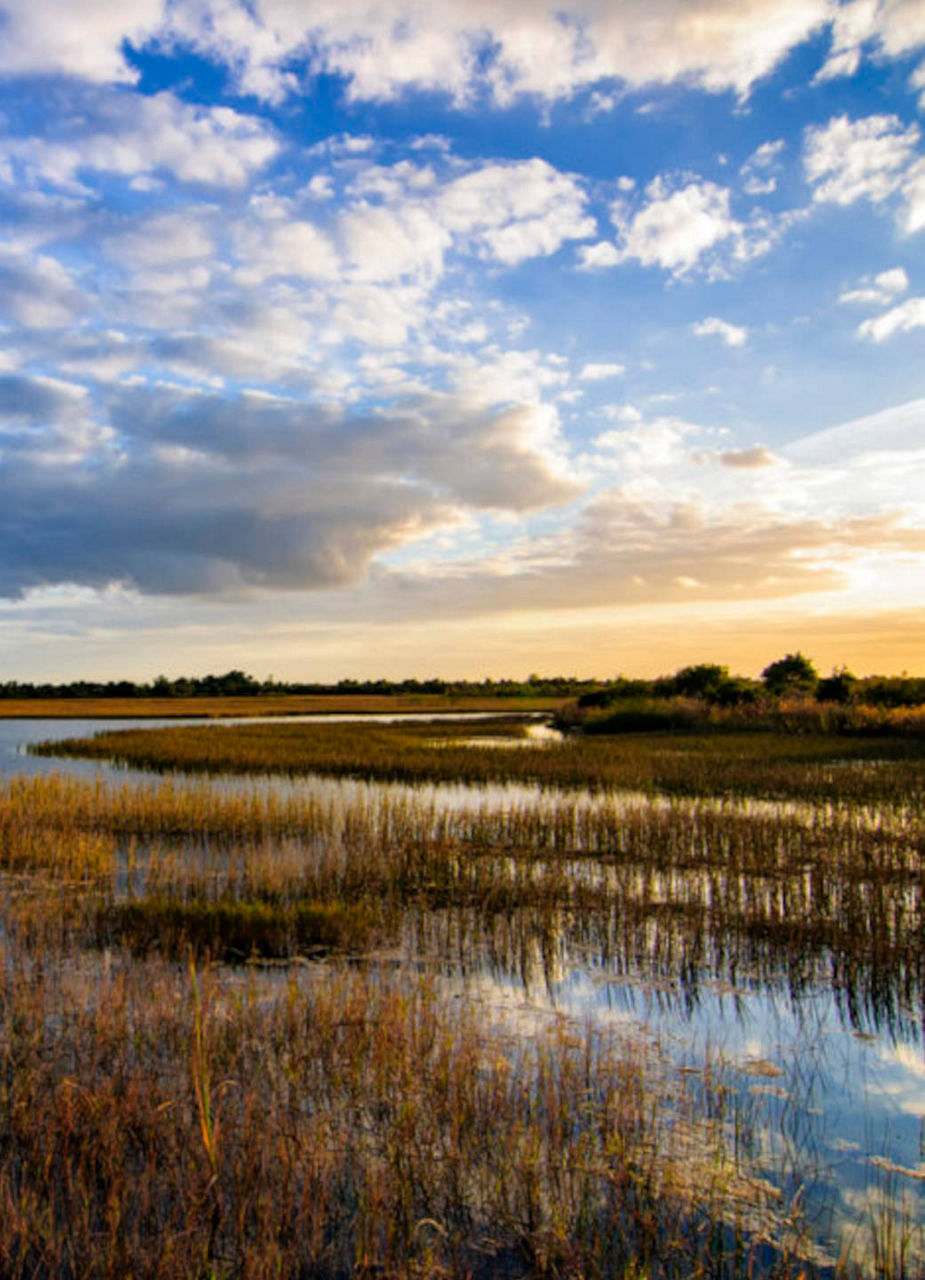 Everglades National Park