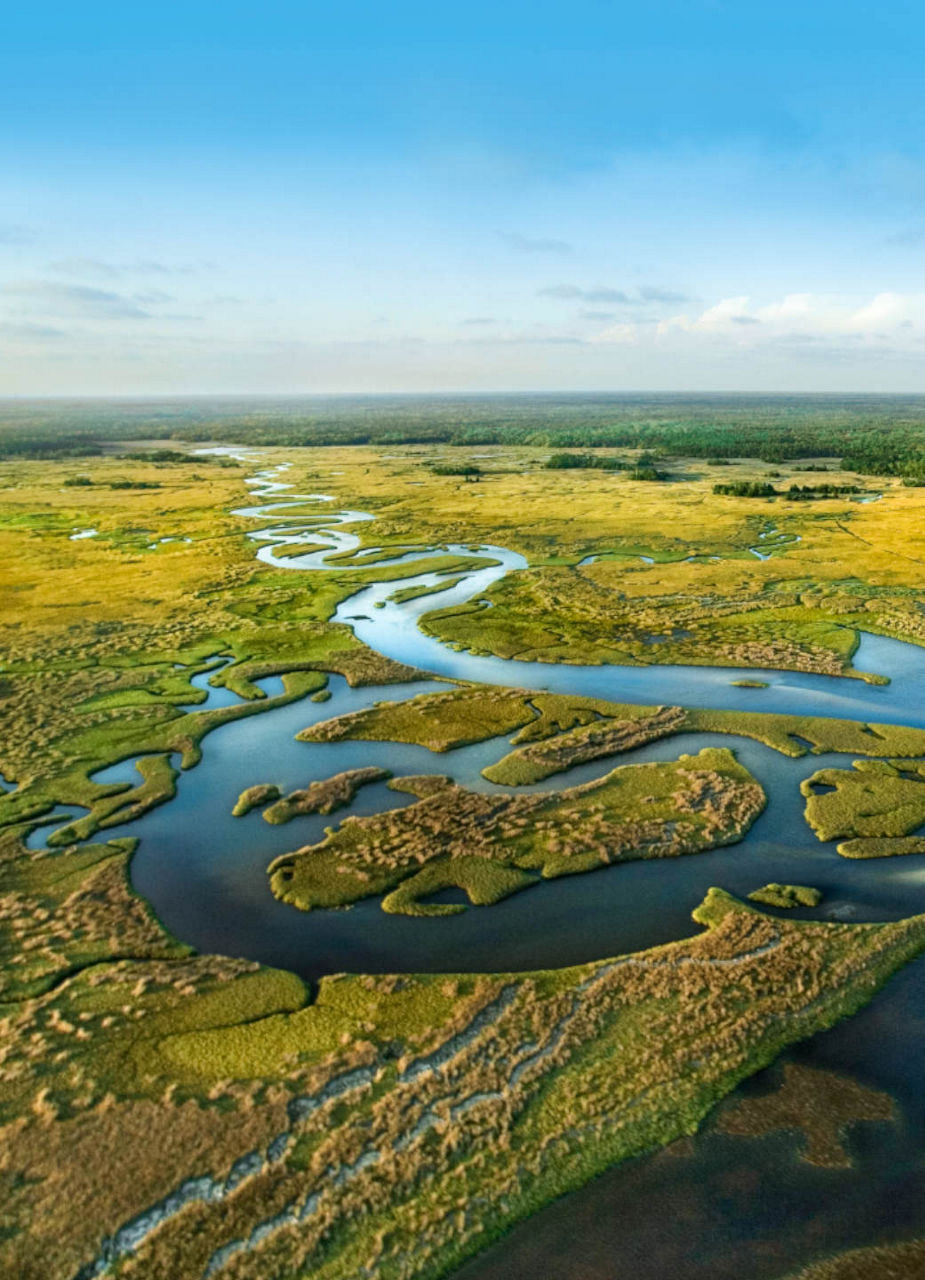 Everglades