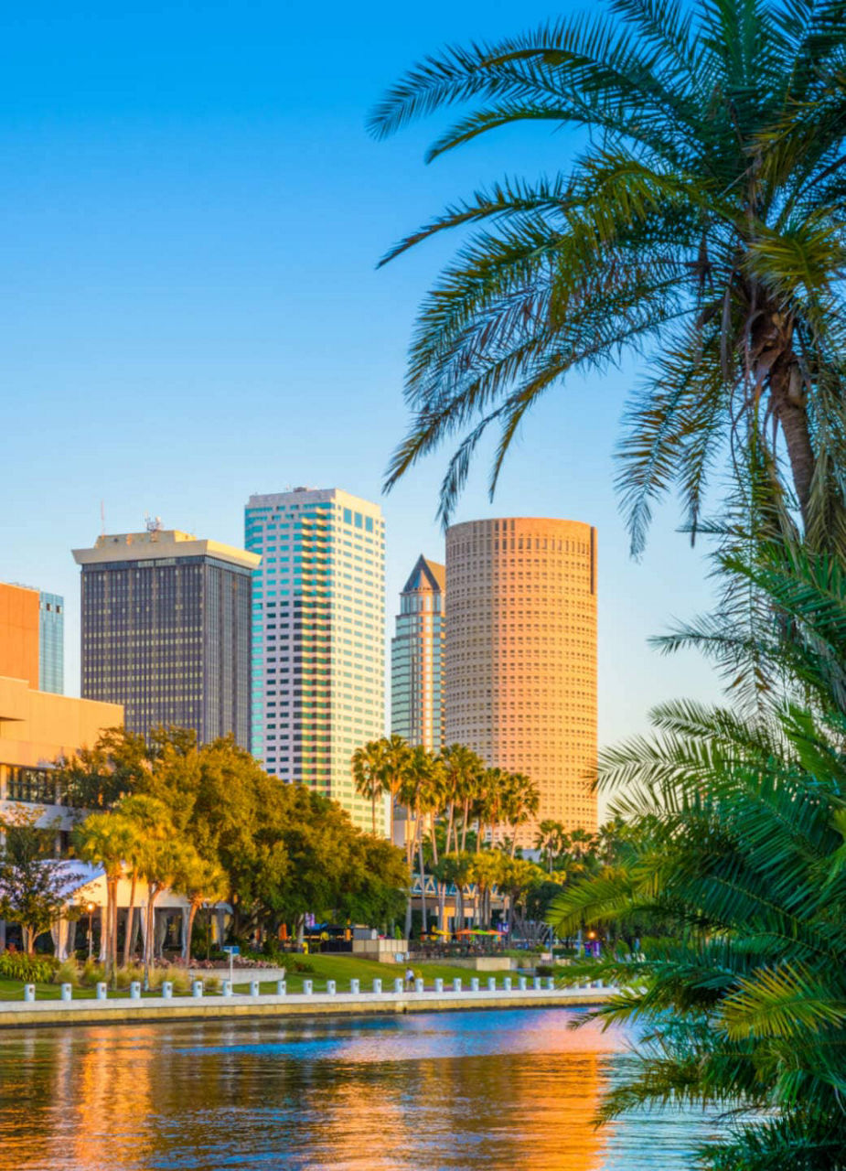 Tampa Skyline