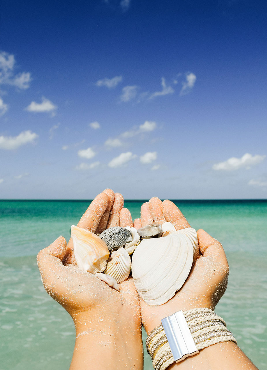 Shells in Hand