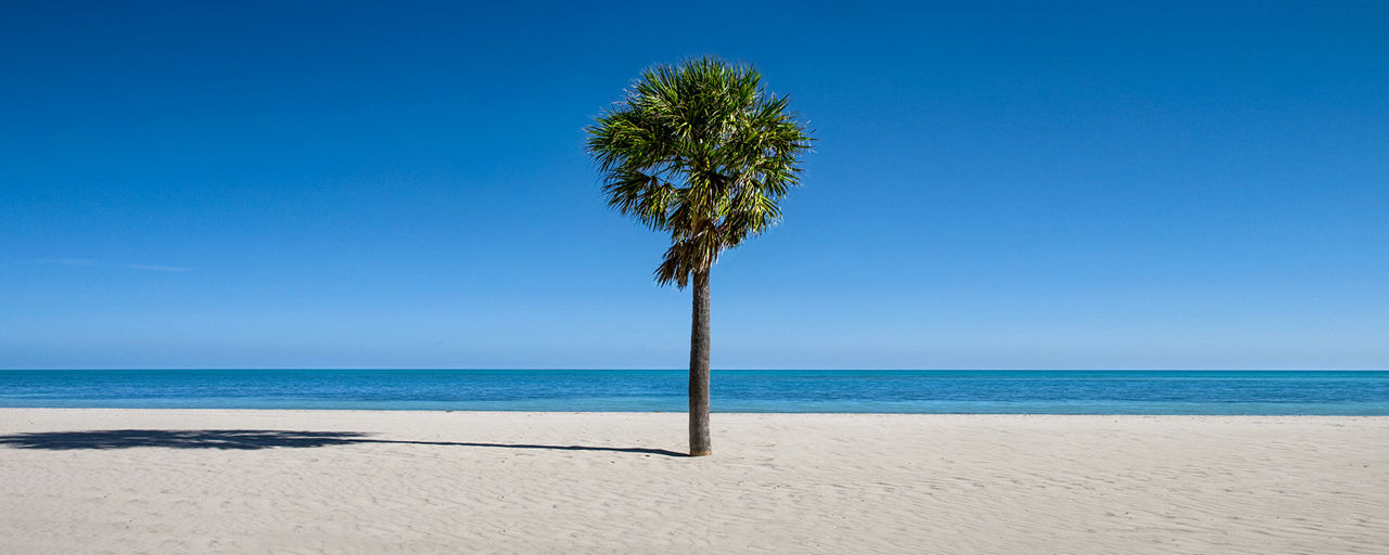 Baie de Tampa (Floride)