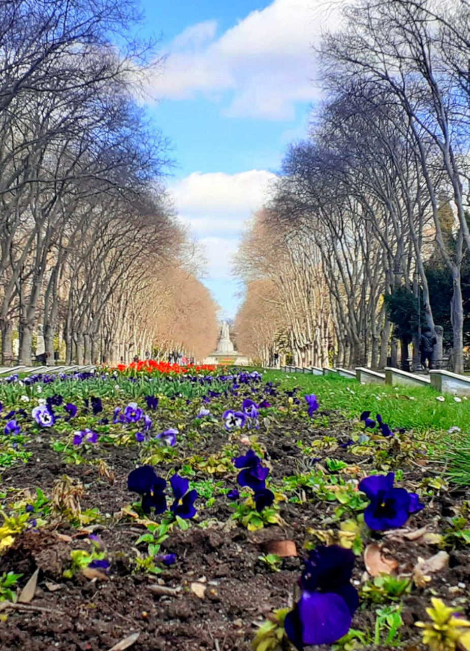 Promenade at the Sea Garden