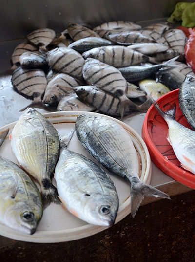 Poissons frais sur le marché