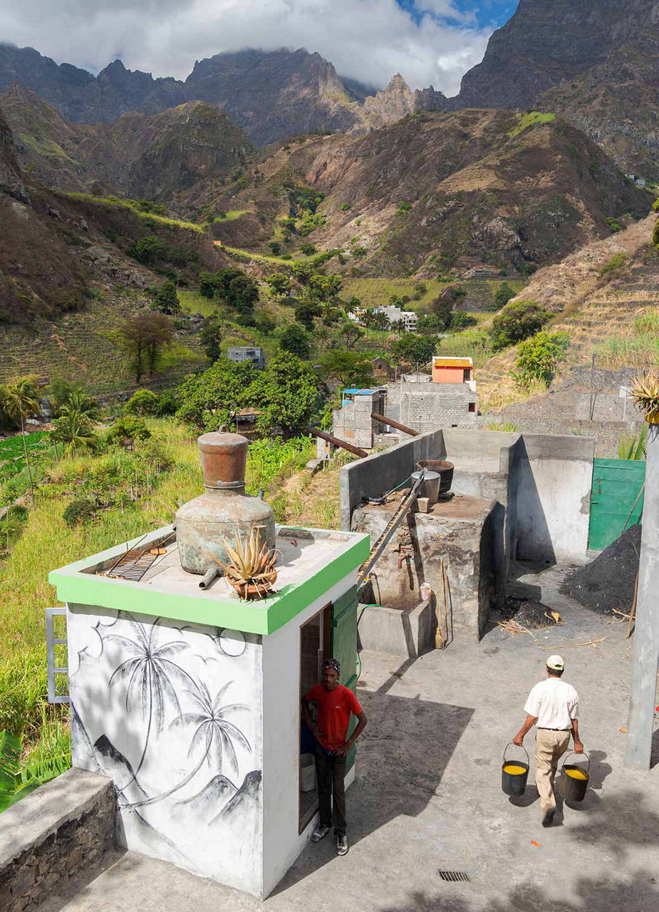 Distilleries de grogue à Santo Antão