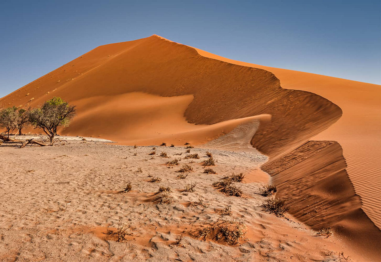 Die Dune 45 von unten