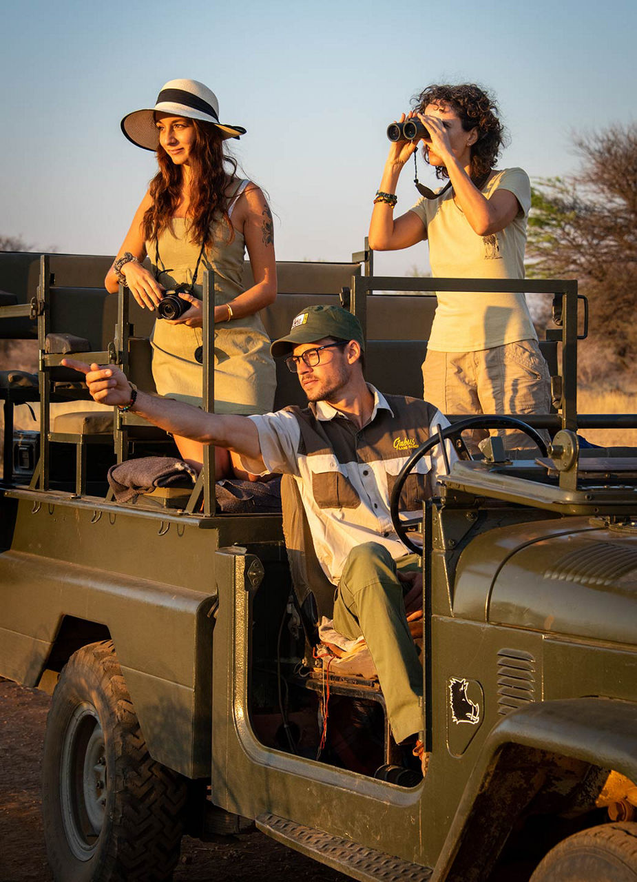 Safari dans le Daan Viljoen Wildpark  