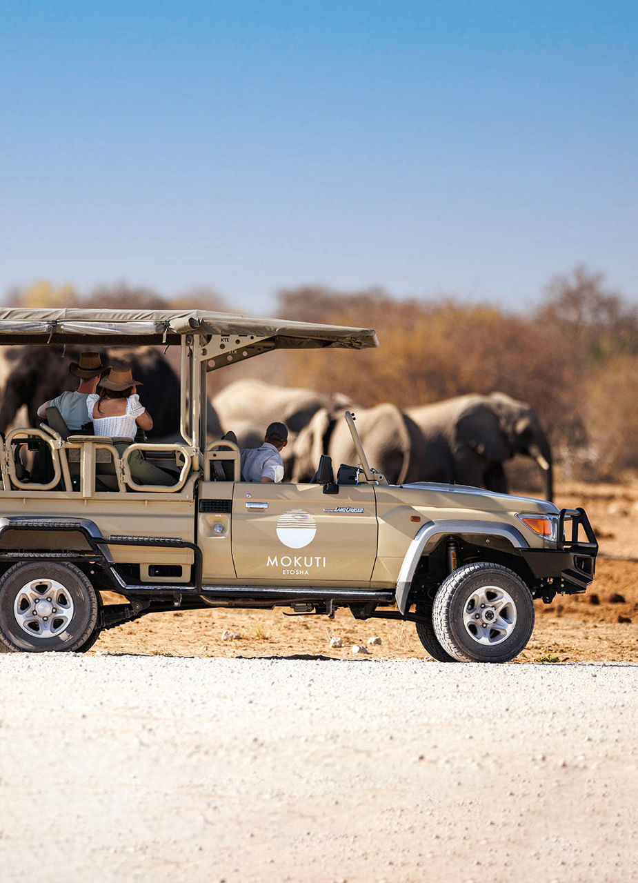 Geführte Safari durch den Etosha-Nationalpark