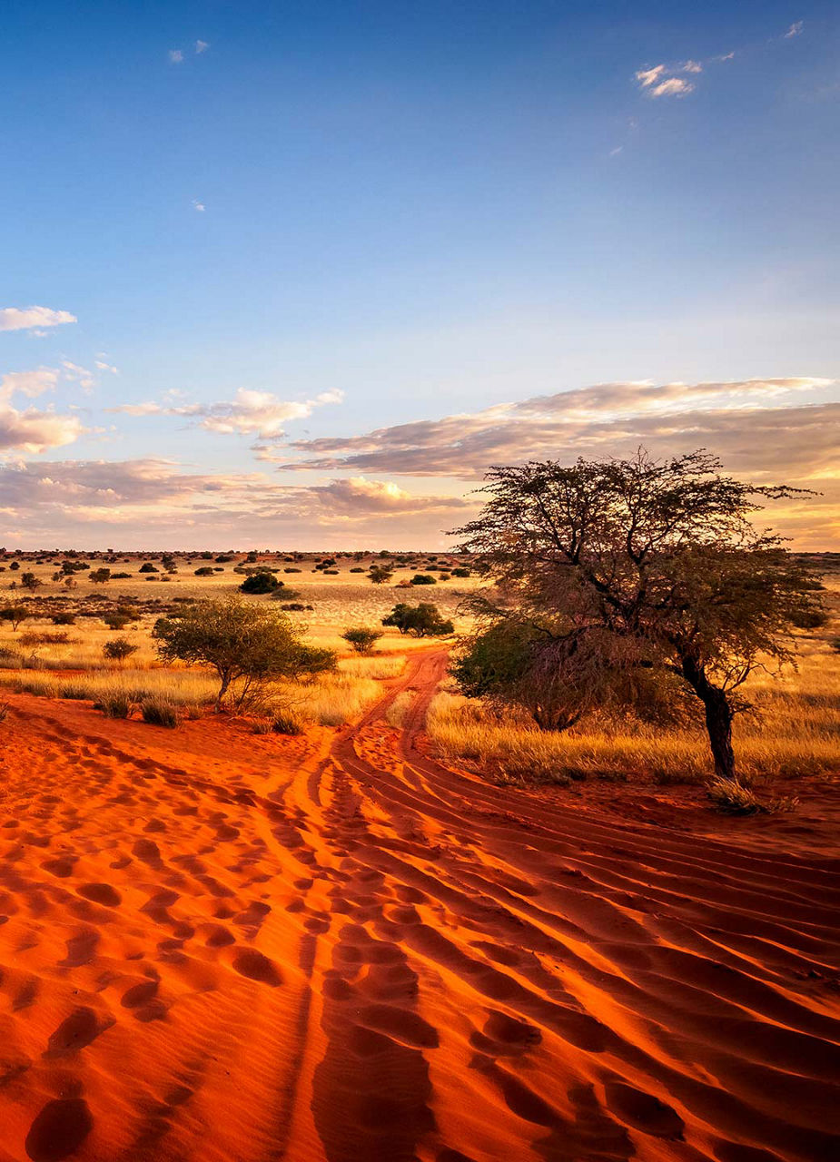Sandstrasse in der Kalahari