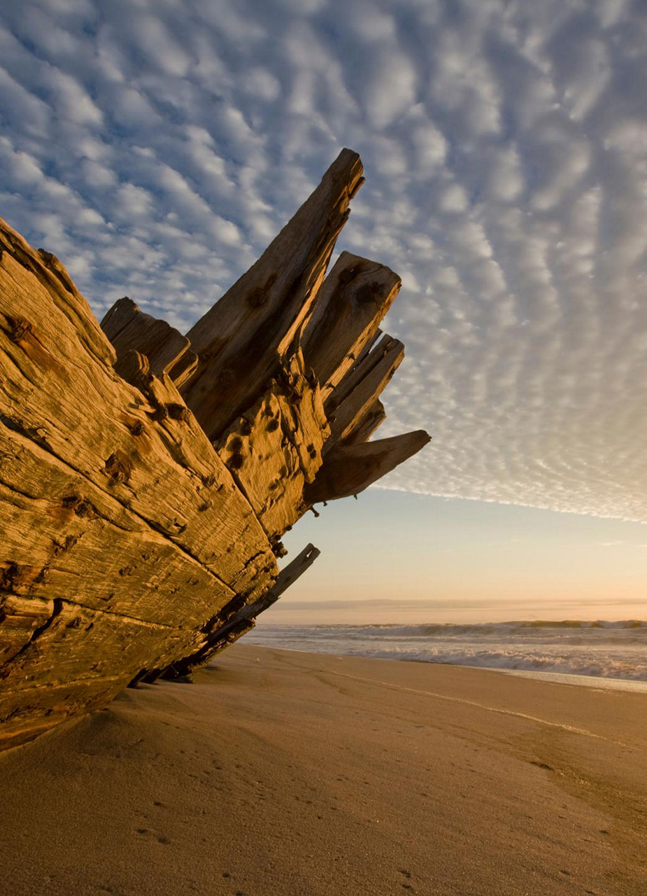 Schiffswrack an der Skeleton Coast