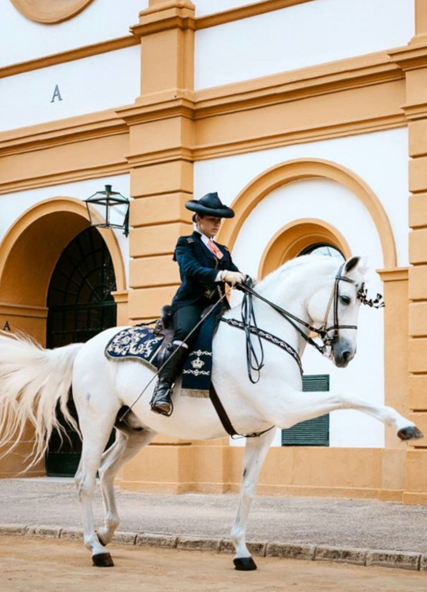 Famous Spanish Horses