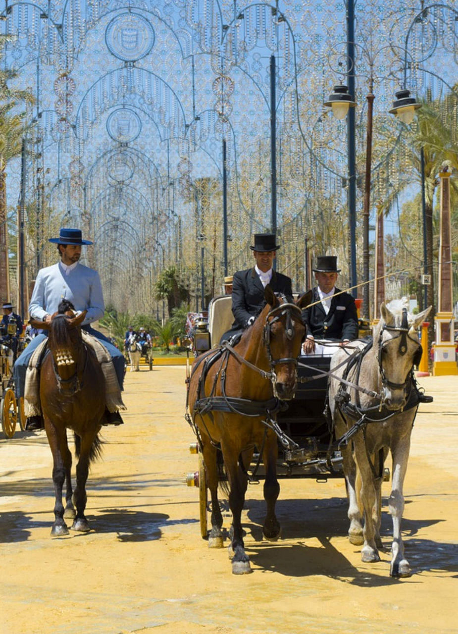 Horses at Feria del Caballo