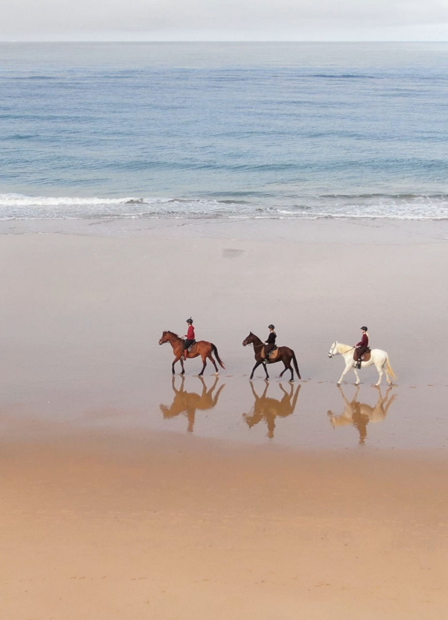 Beach Horseback Riding