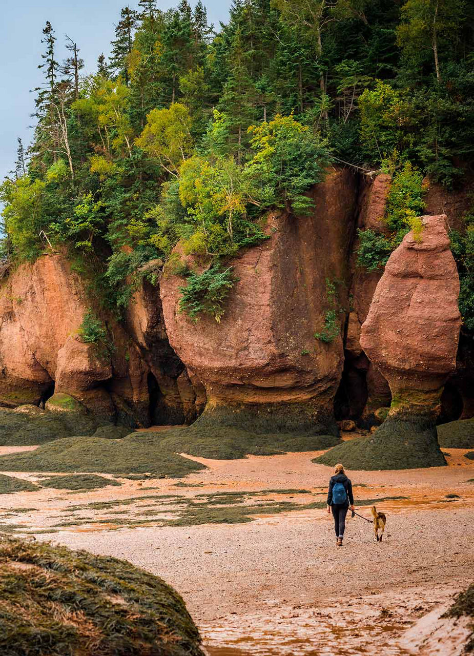 Walking at low tide in the Bay of Fundy