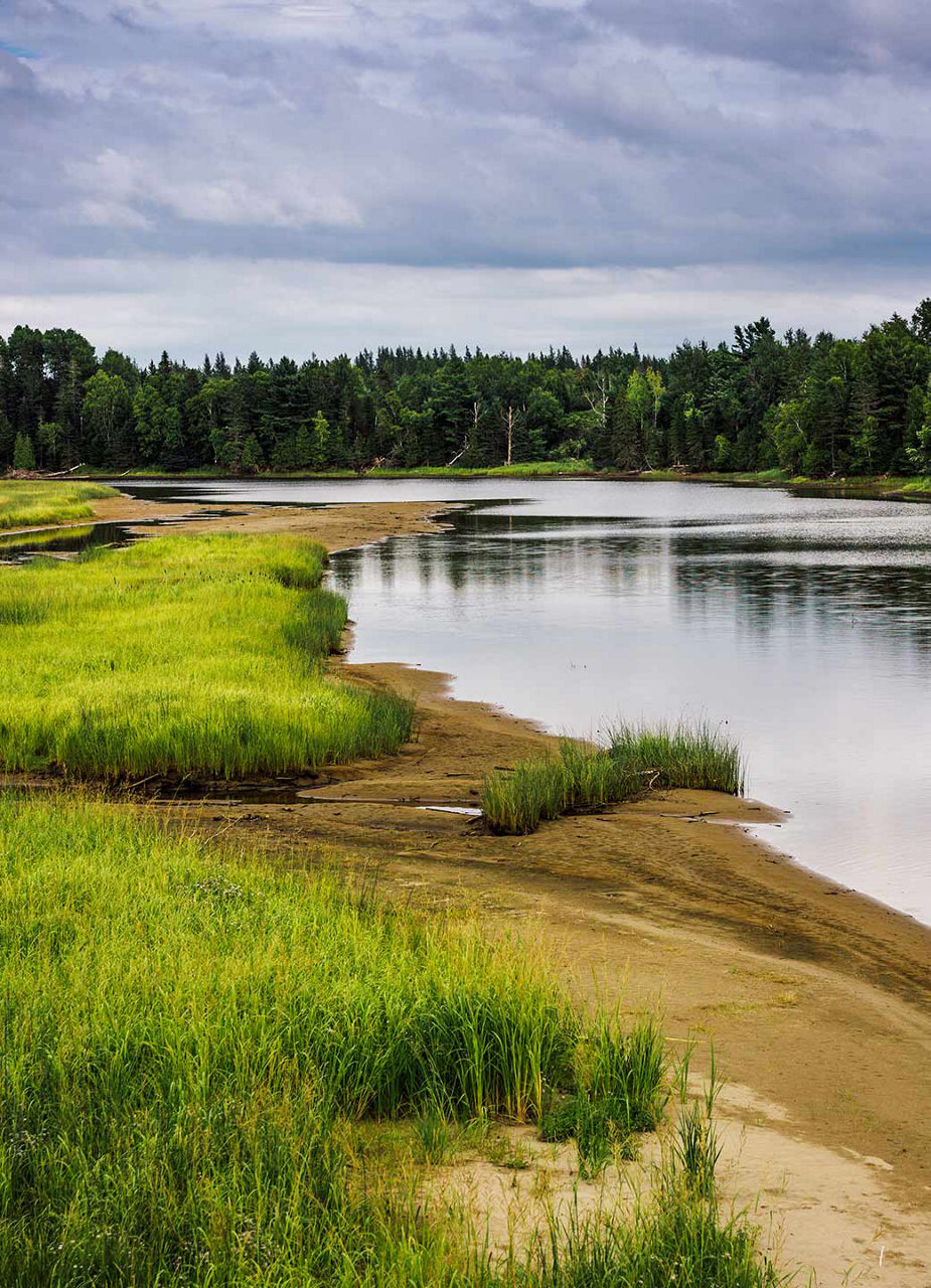 Wetlands in Kouchibouguac National Park