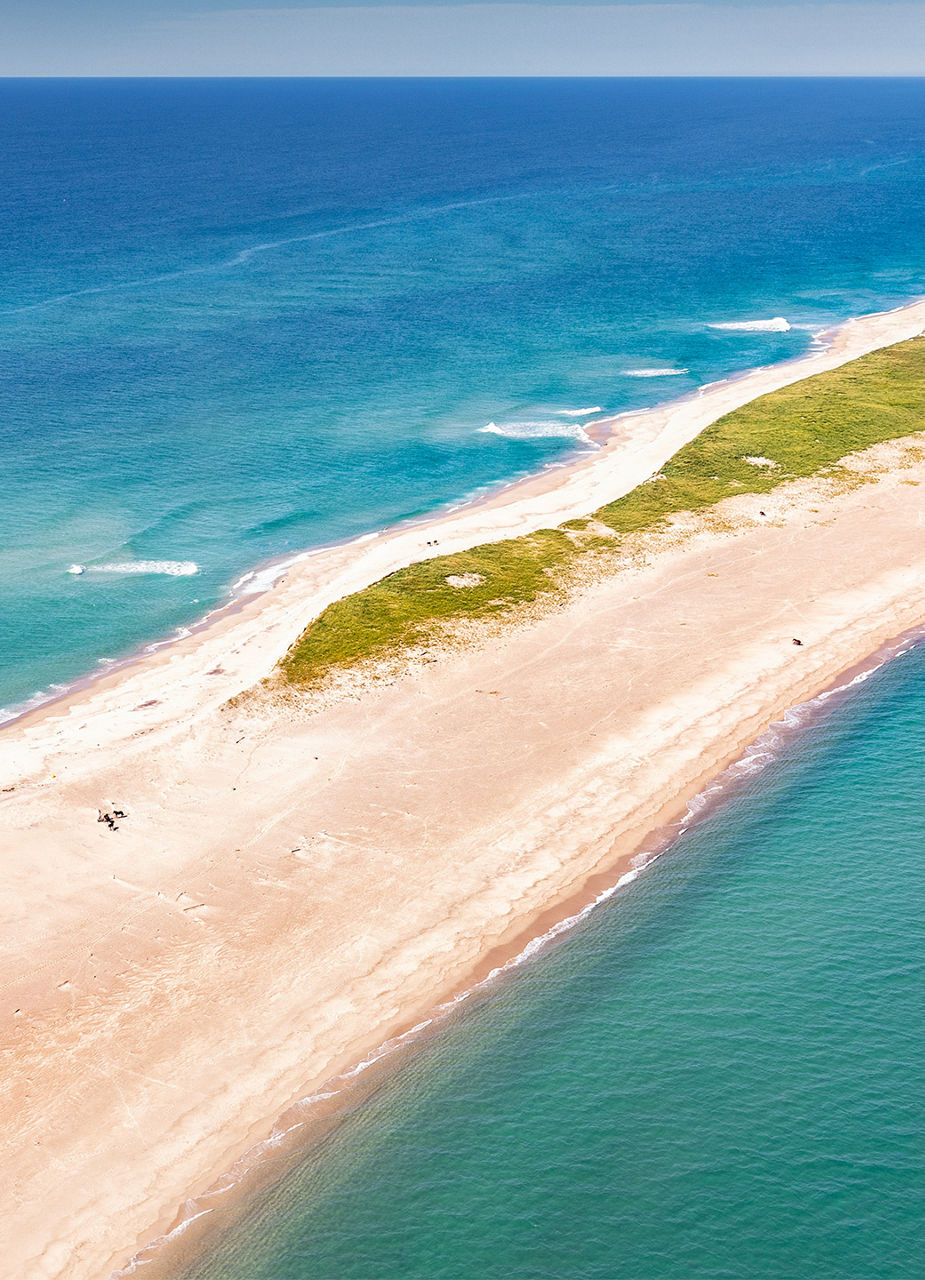 Wild horses on Sable Island