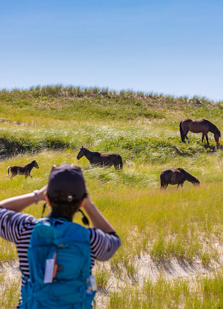 View over Sable Island