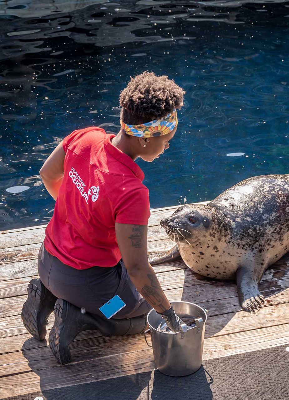 Woman feeding seal