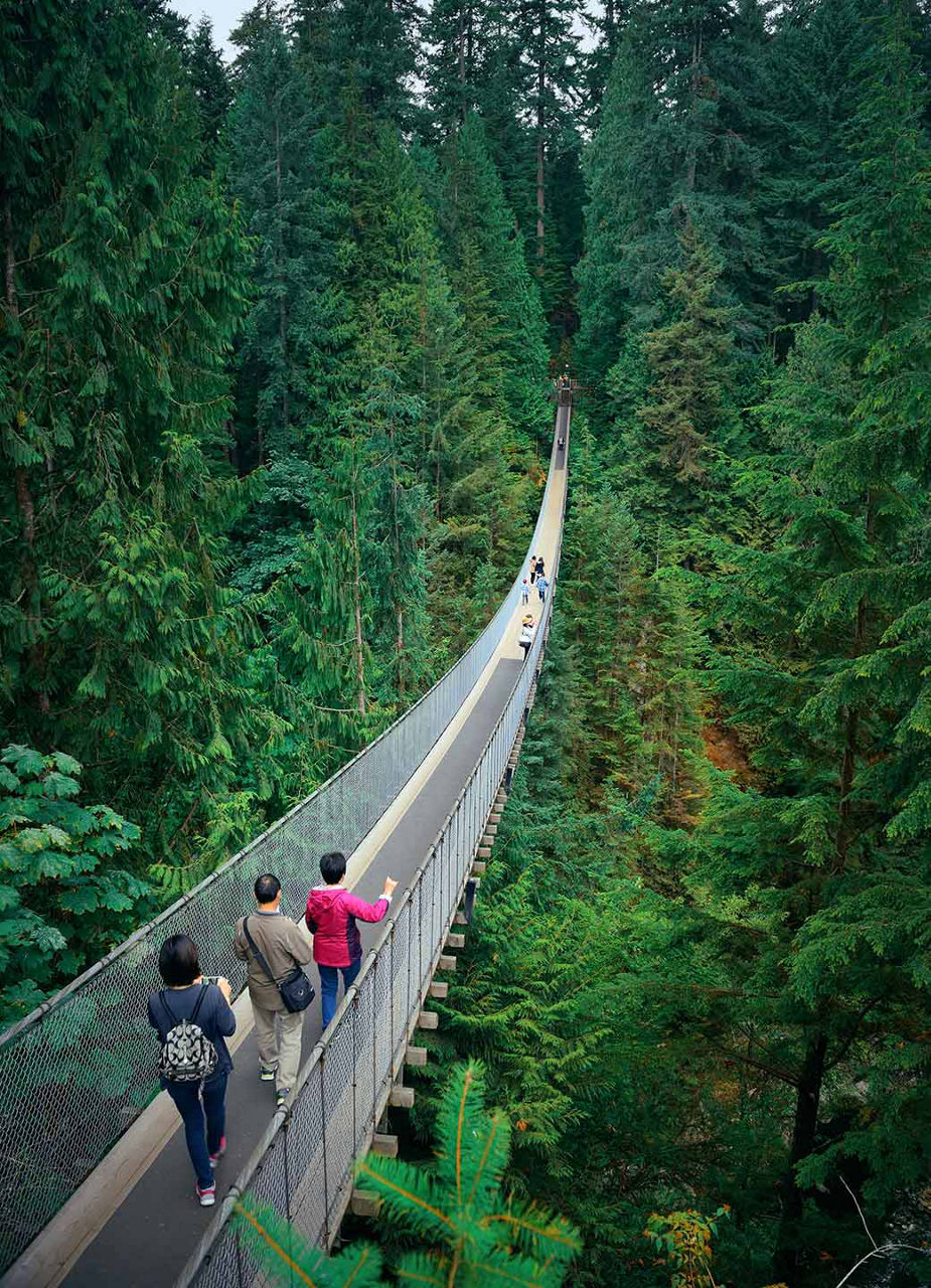 Suspension Bridge